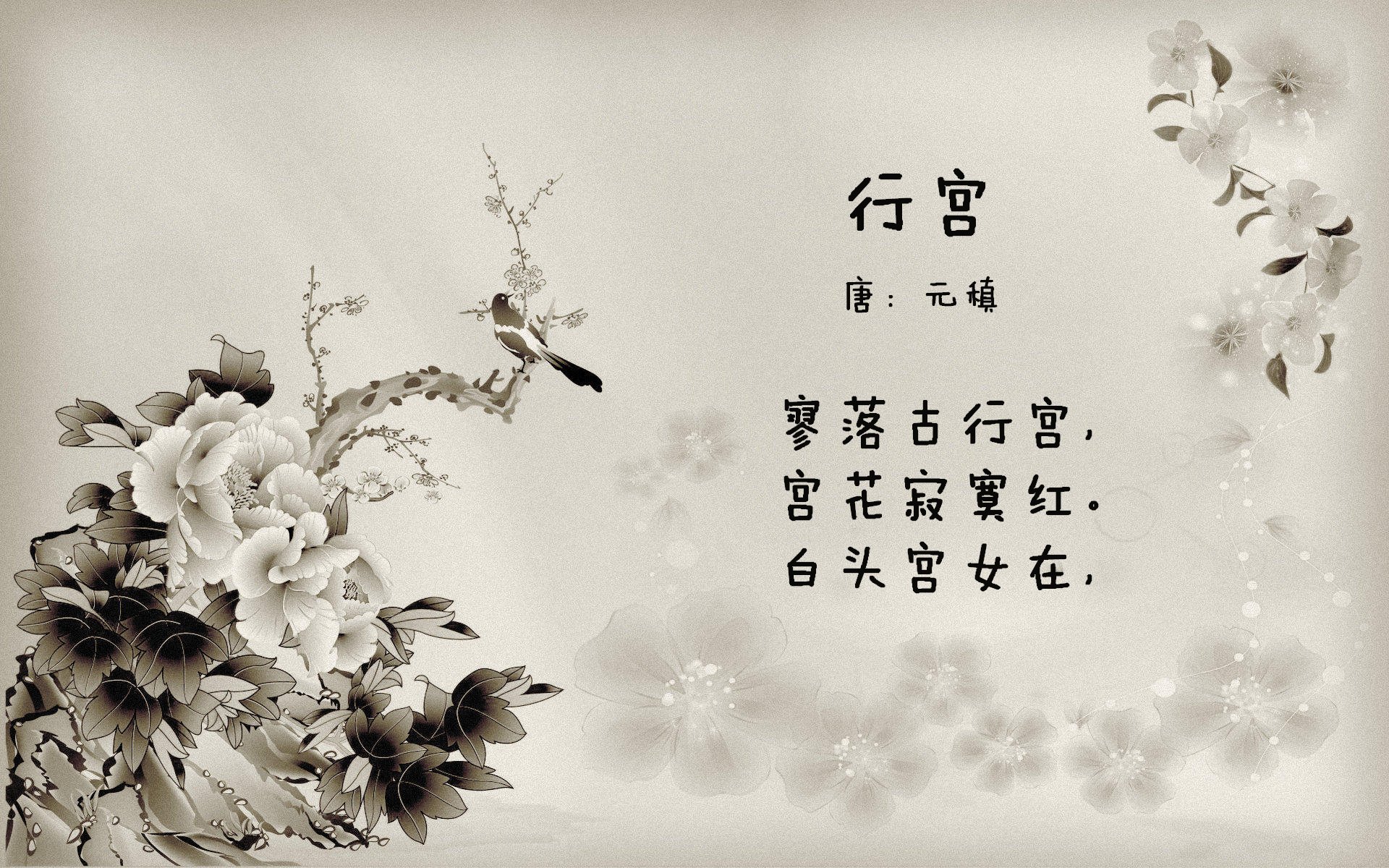 《Hope：年轻的力量，闪耀在国际舞台》