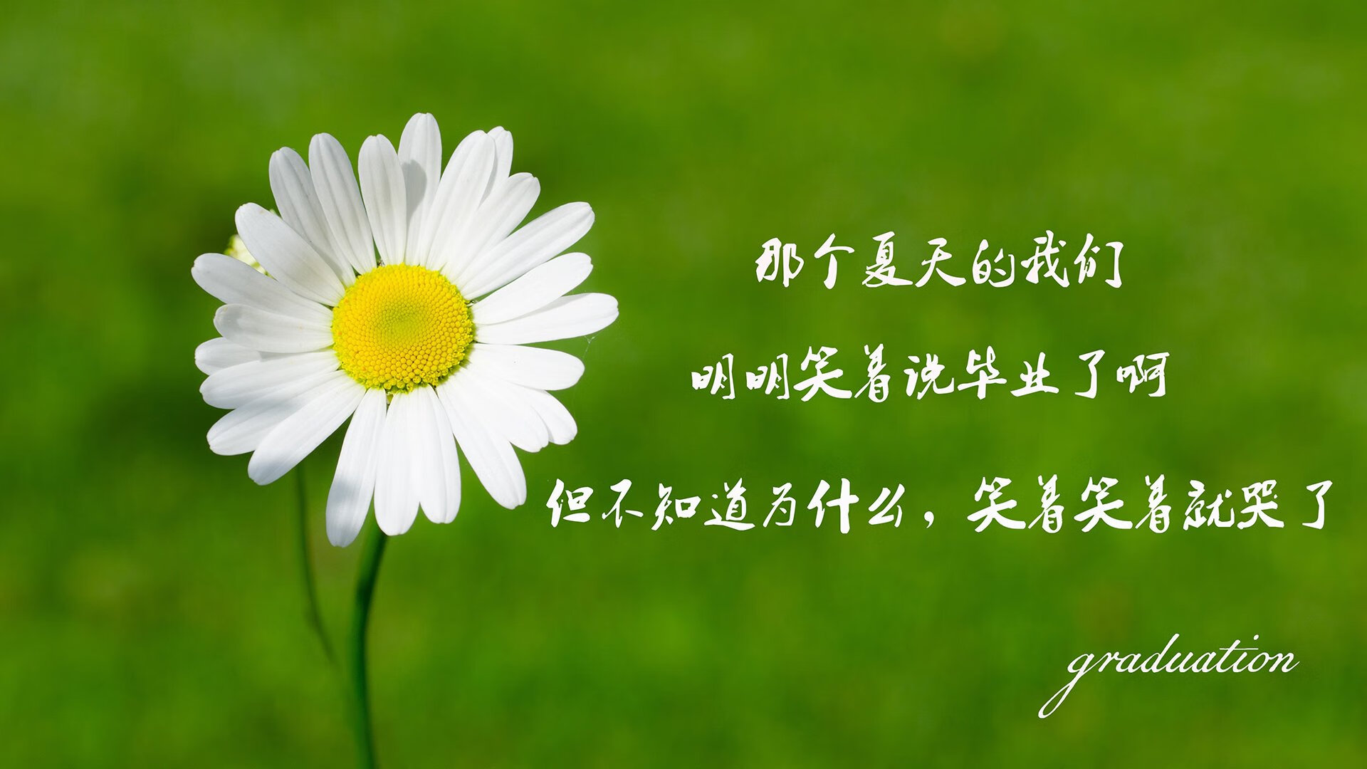 乡村田径运动会，乡土之趣激发青少年热情，乡村运动场