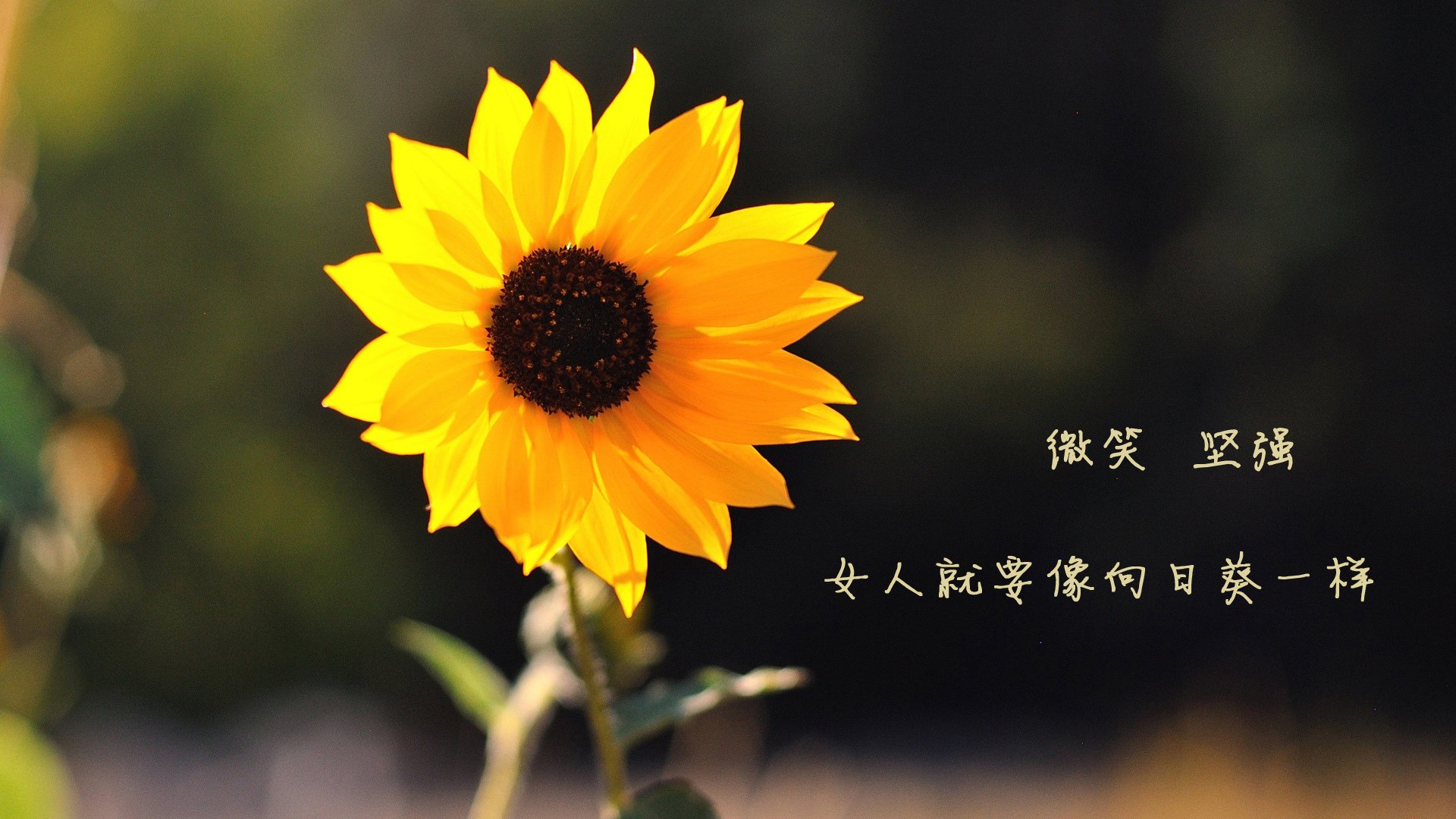 国家队备战周期安排，国家队预备选手