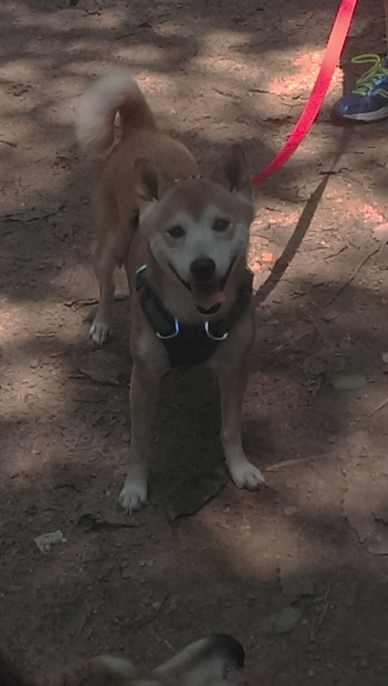 中国男篮强化控球能力 控制比赛节奏,中国男篮强化控球能力 控制比赛节奏是多少