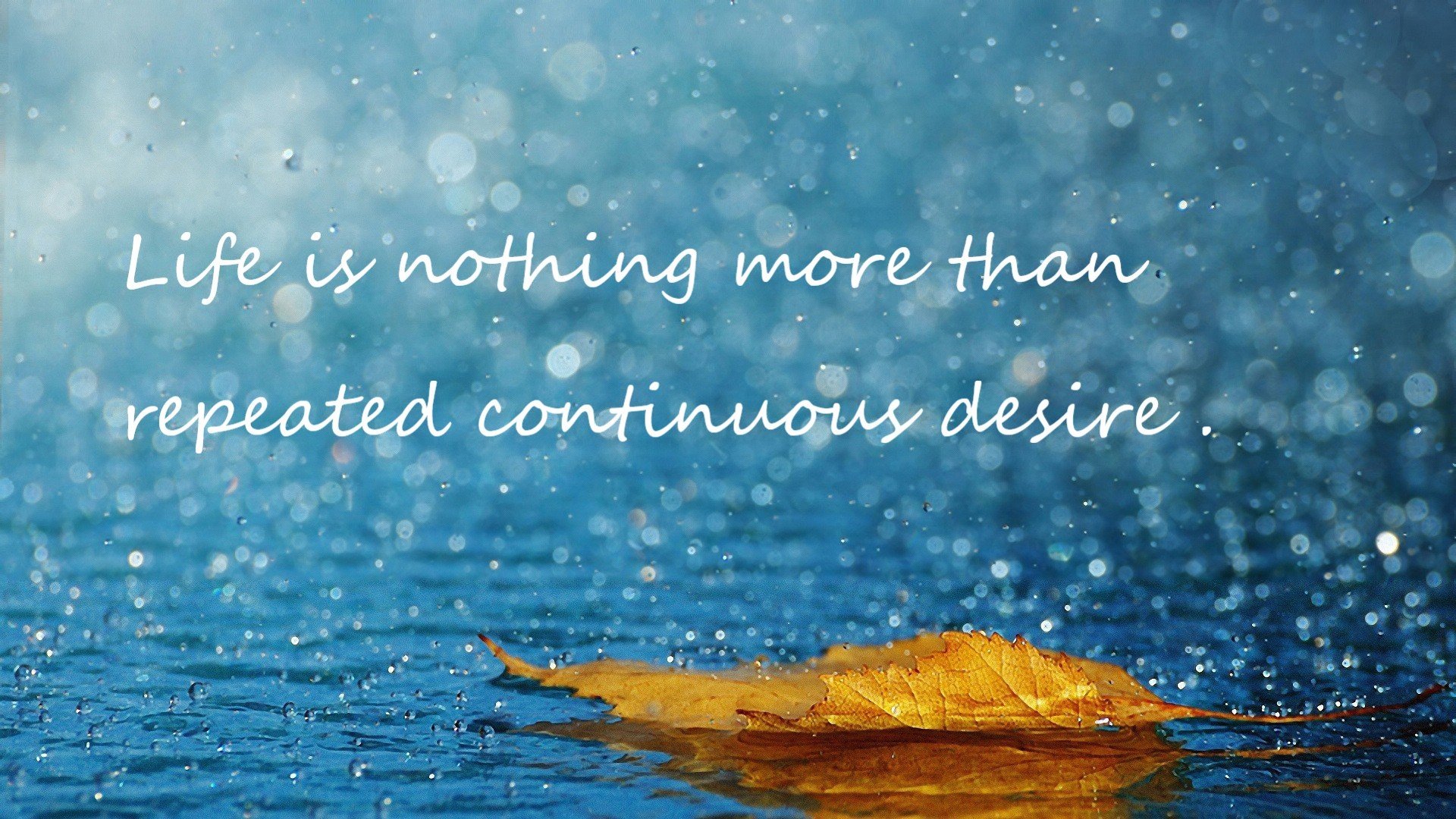 中立B蝶泳女将冲击半决赛门槛，蝶泳女选手