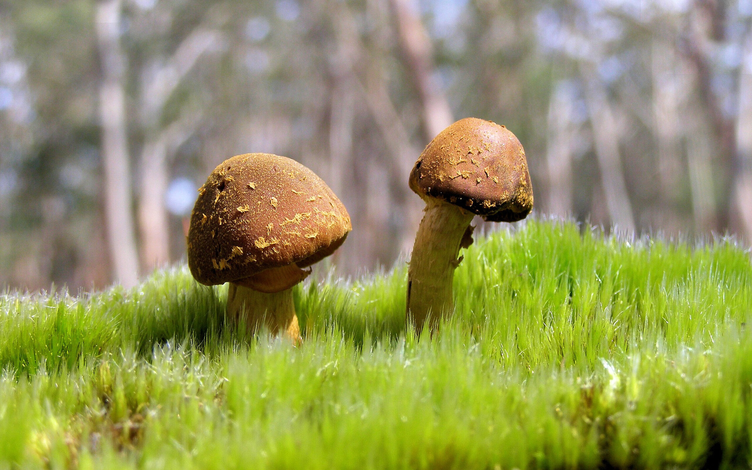 九游娱乐(jiuyou)官网-平台开启精彩进球评选活动吸引众多球迷参与热情投票，进球集锦什么意思