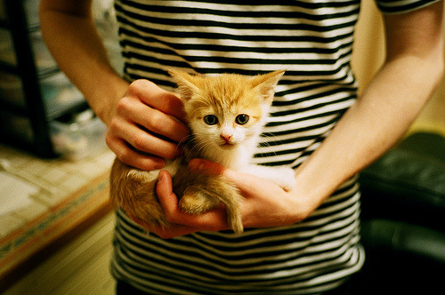 九游娱乐官网 (jiuyou)-德甲战术千变万化：精彩不断，火花四溅！，德甲榜首大战