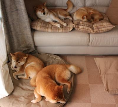 九游娱乐(jiuyou)官网-德甲瞬间破门：速度与力量的完美展现！，德甲速度最快现役球员