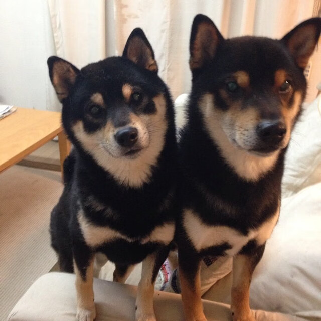 瑞·弗兰：他凭借出色的防守反应和敏锐的进攻嗅觉，总能在关键时刻做出决定性贡献