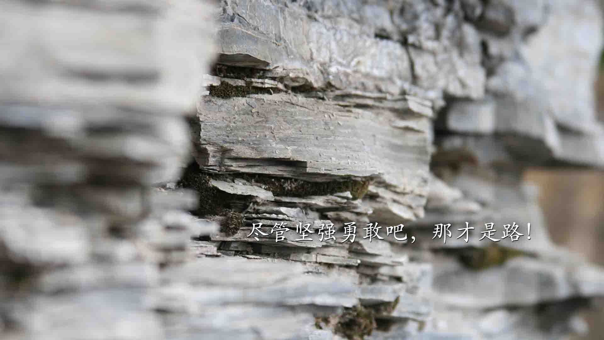 九游登录入口-萨默·麦金托什蝶泳决赛展现绝佳爆发力，麦金托什游泳