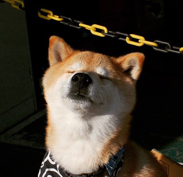 Jiuyou-霍勒迪末节连续命中帮助雄鹿锁定胜局，霍勒迪顶薪续约雄鹿