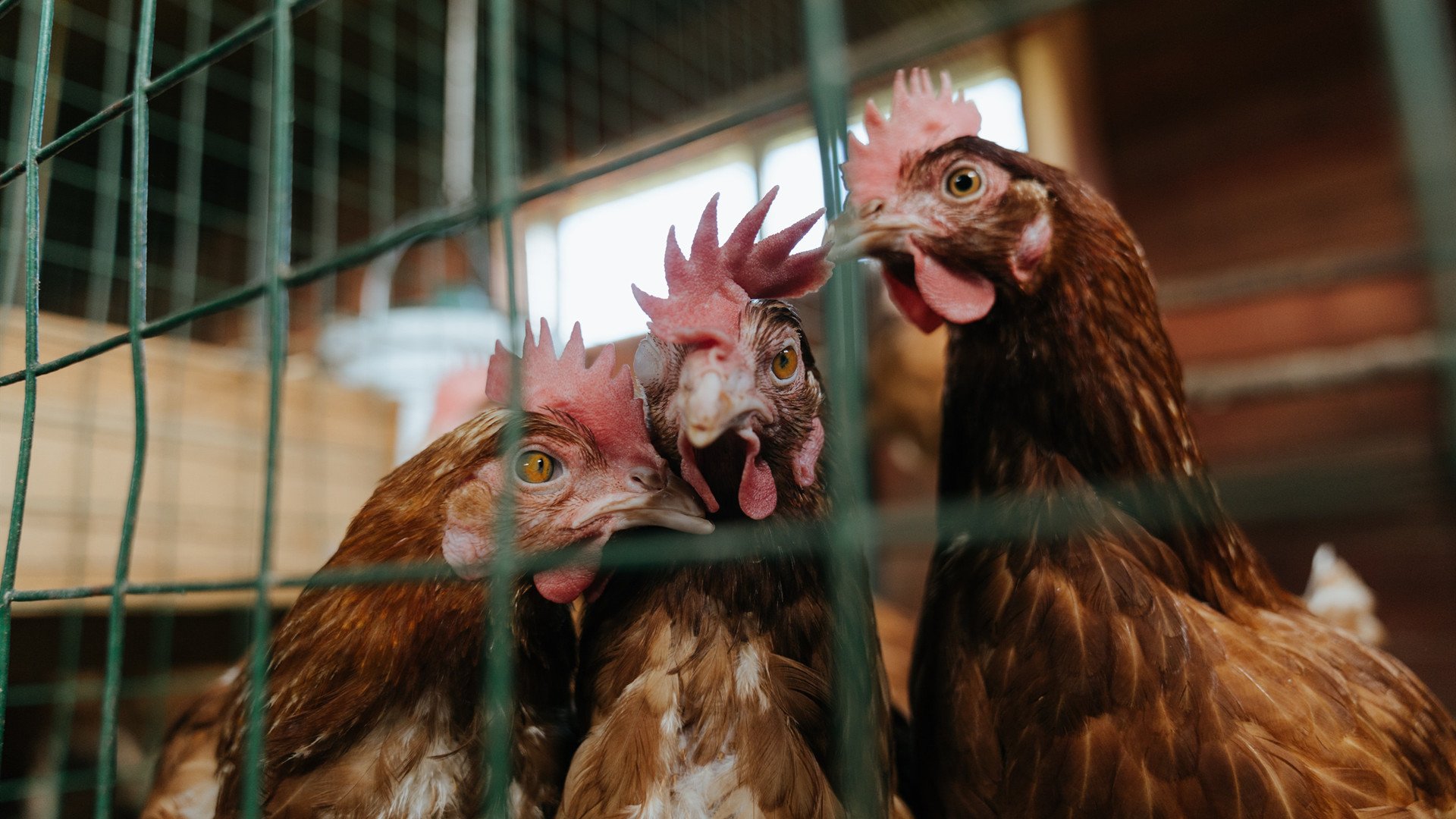 联赛组织者优化赛程减少团队长途奔波，运动表现获益，比赛组织有序