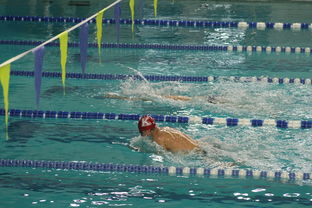 Jiuyou-自由泳预赛突尼斯多人晋级，自由泳2021