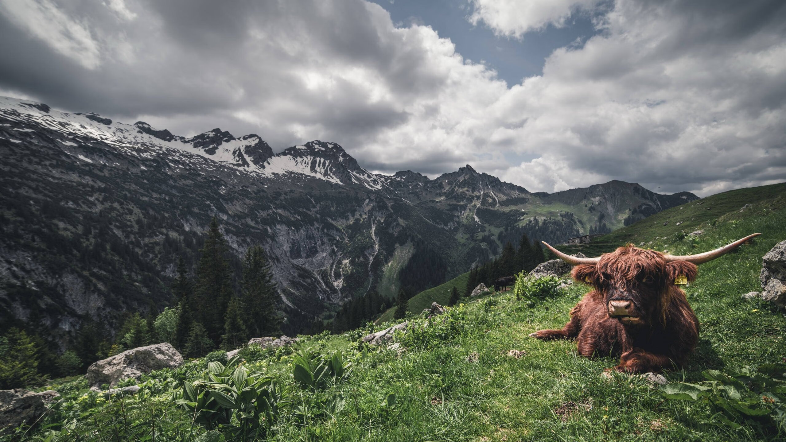 英超冲刺夜：悬念、期待、激情！，英超 whu