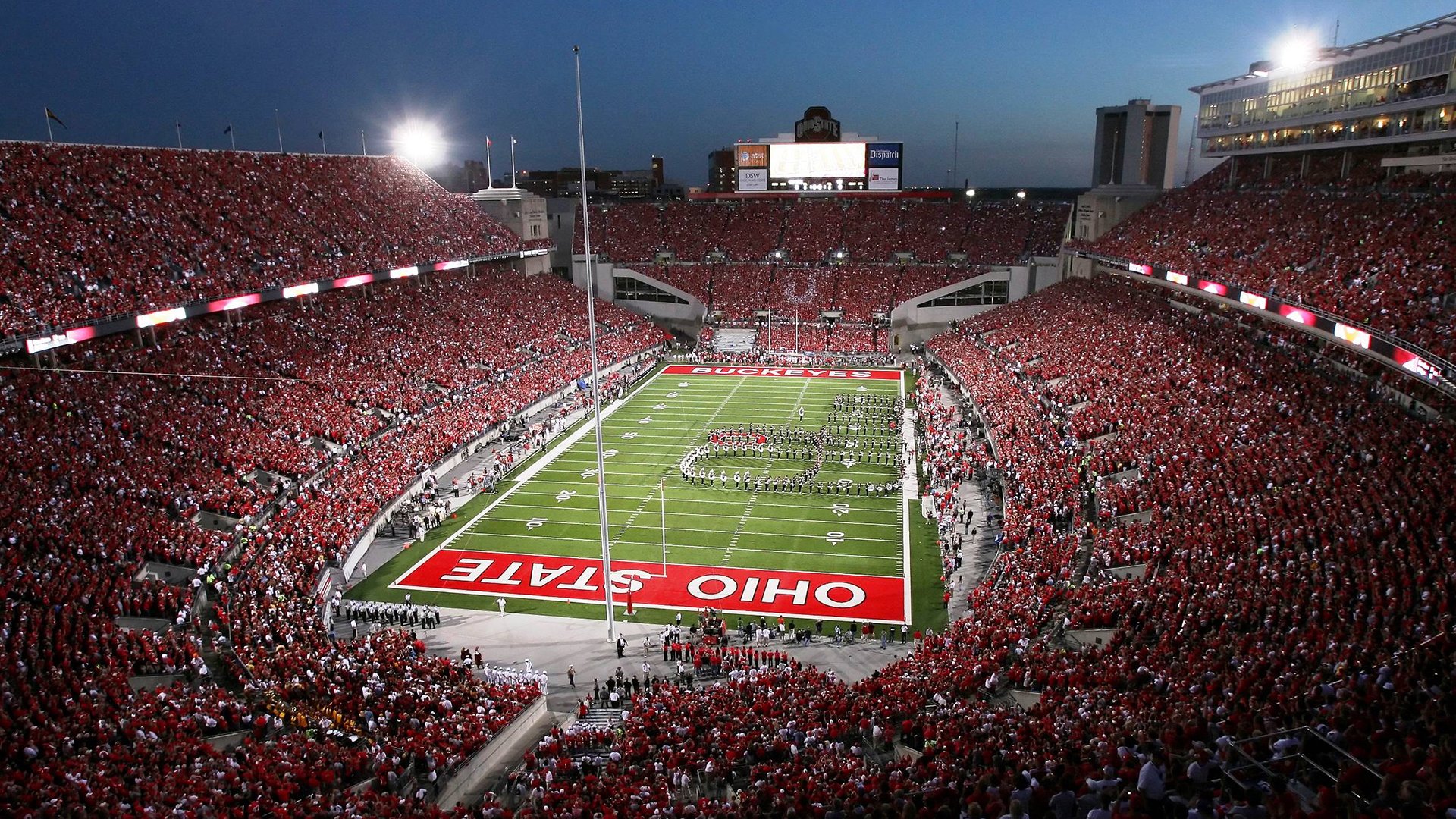 “我们用热情融化寒冷”——塞内加尔球迷雪中齐跳萨布尔舞，塞内加尔运动员